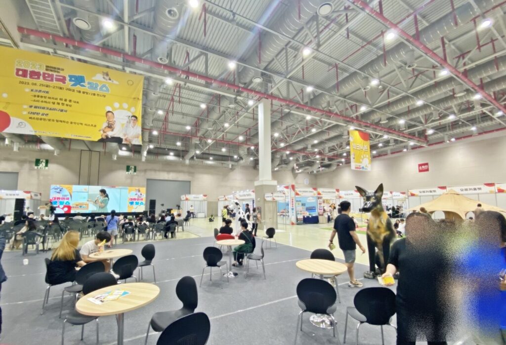 대한민국 펫캉스
