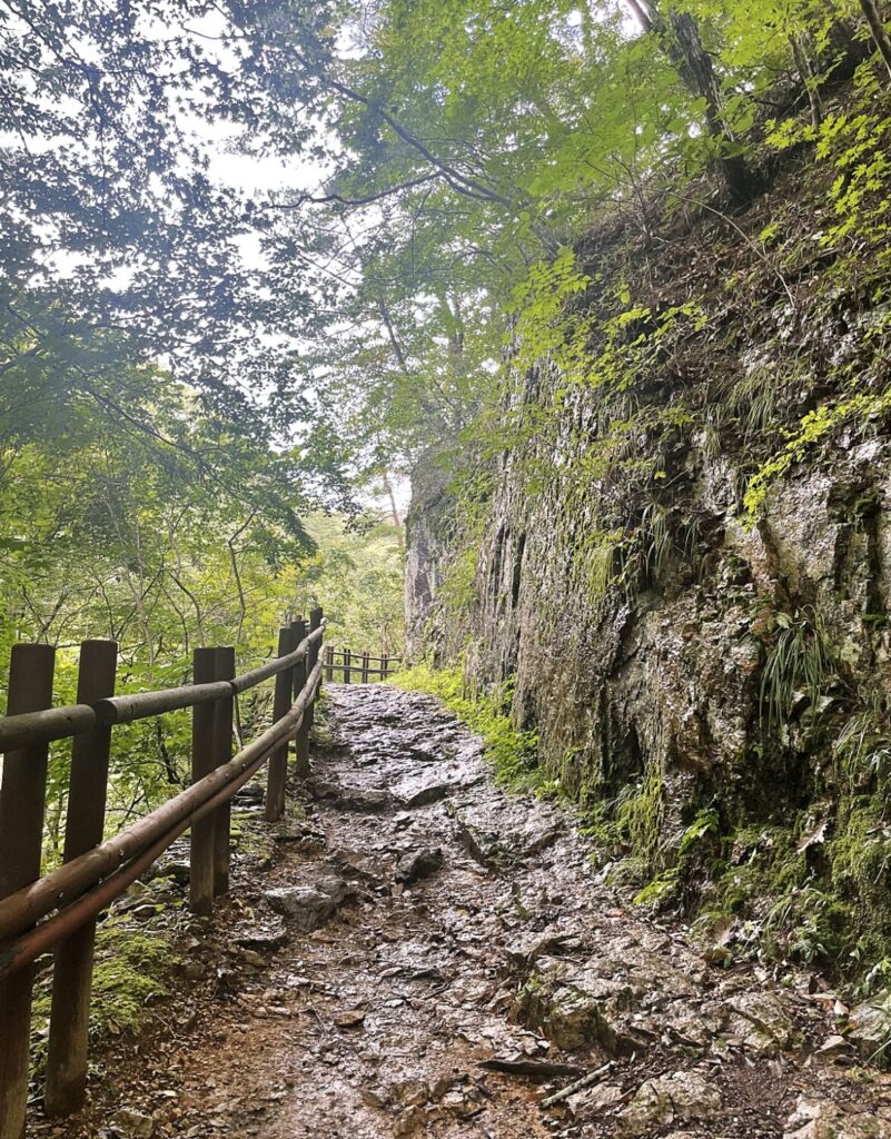 주왕산 용연폭포 가는 길