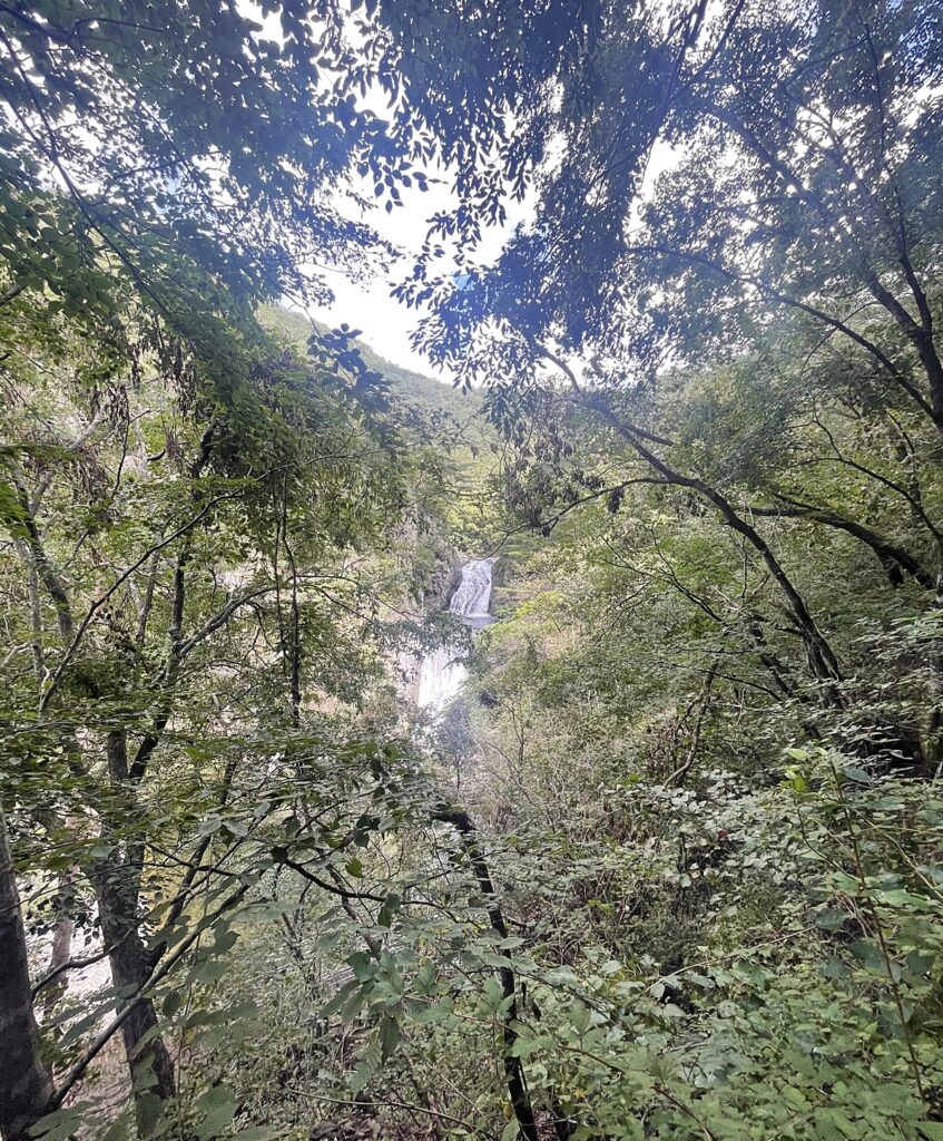 주왕산 용연폭포