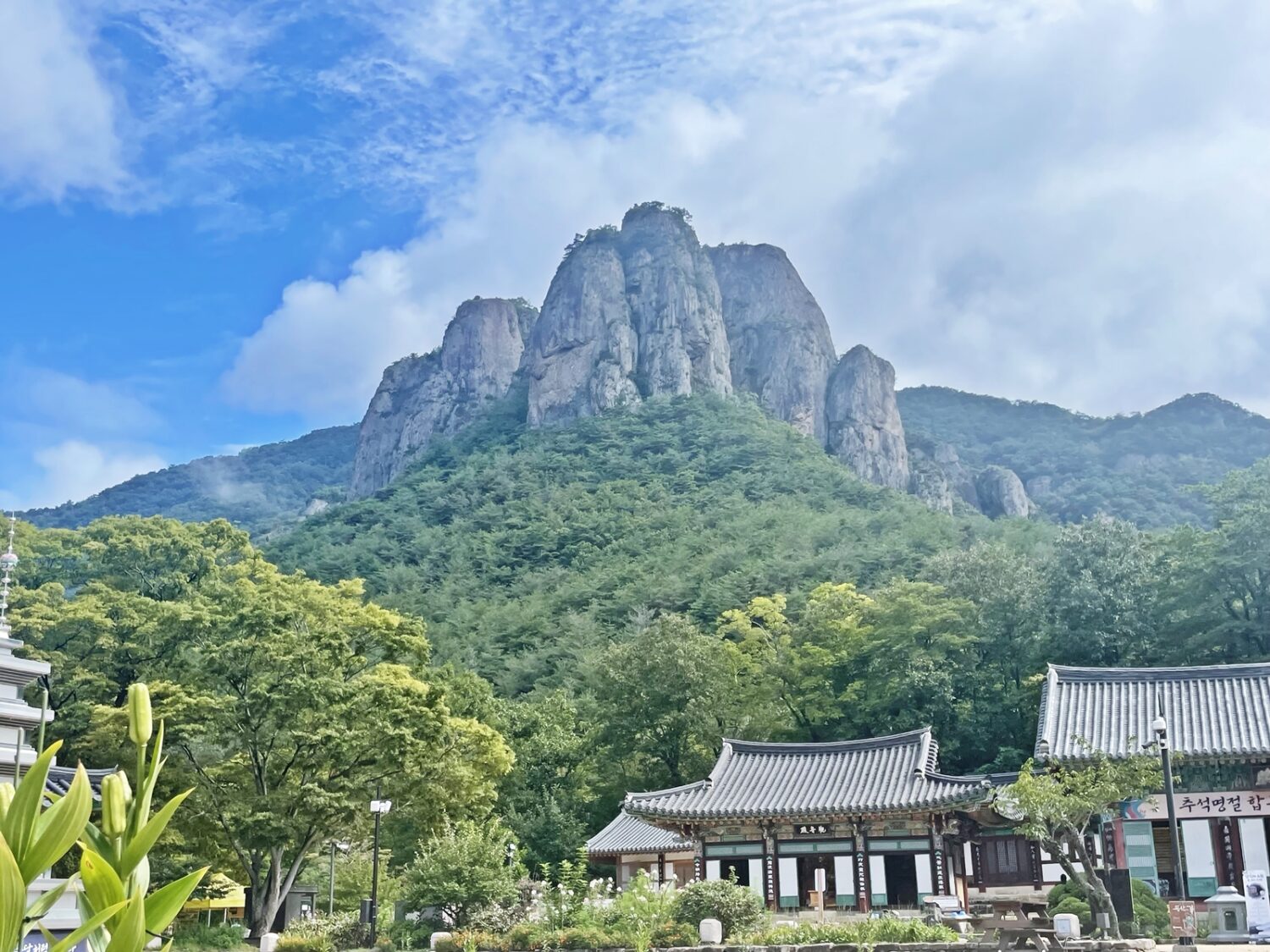 포스트 이미지