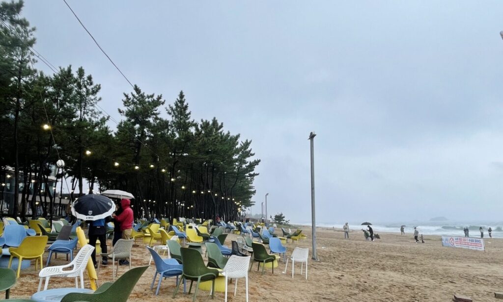 강원도 고성 여행, 바다정원
